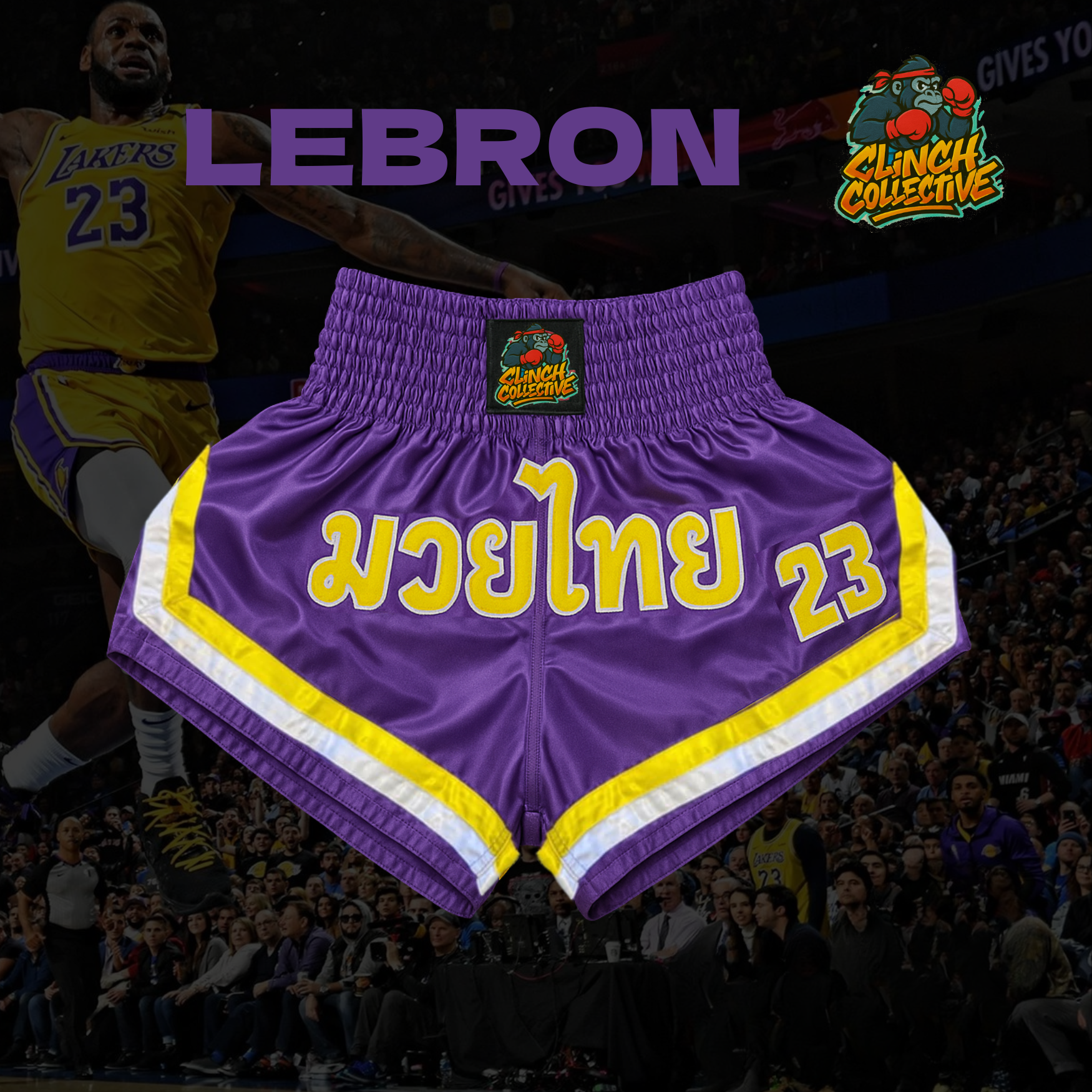 LeBron Muay Thai Shorts