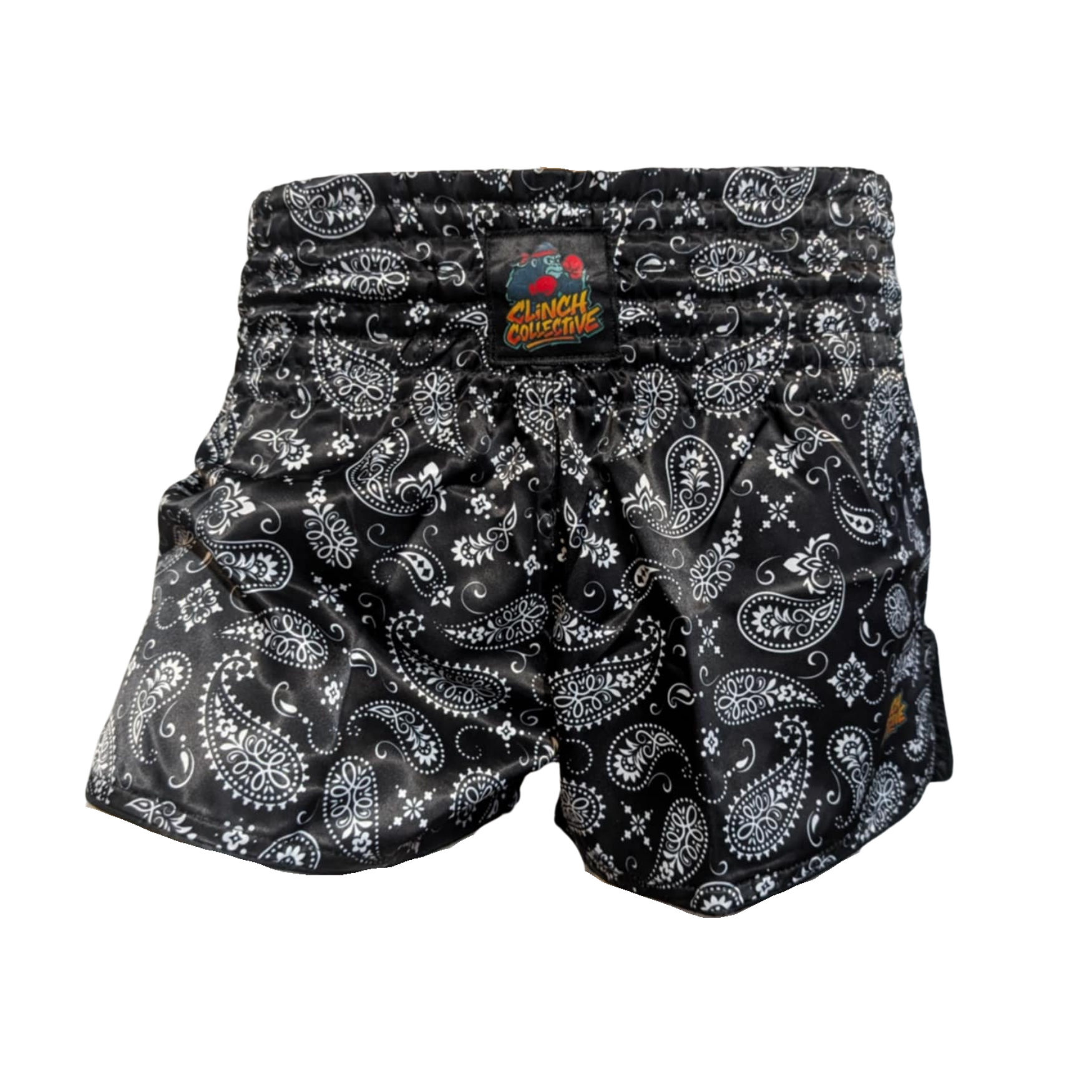 パンツ REBELLIOUS BEHAVIOR paisley fight shorts Fight Shorts Paisley 4